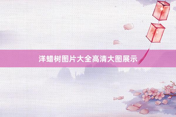 洋蜡树图片大全高清大图展示