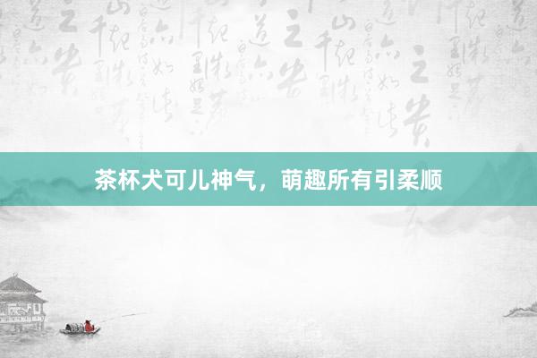 茶杯犬可儿神气，萌趣所有引柔顺